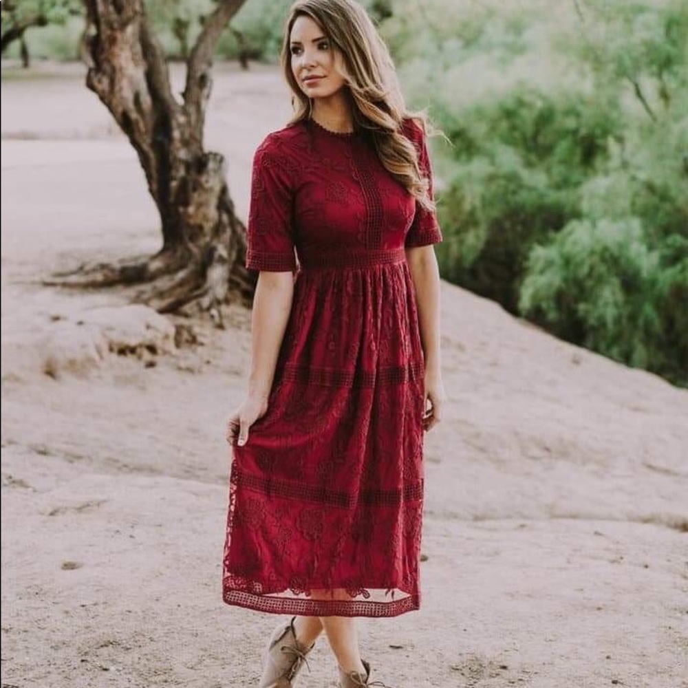 Wren and ivory boutique lace overlay dress